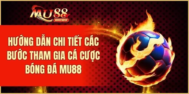 Quy trình tham gia cá cược bóng đá đơn giản cho người mới