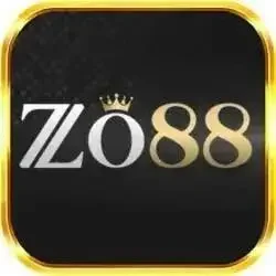 zo88 1